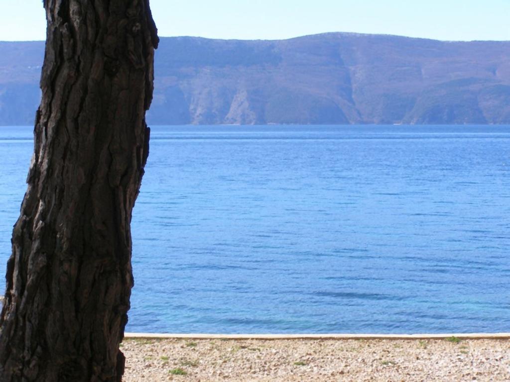 Apartments Josip Pinezići Εξωτερικό φωτογραφία